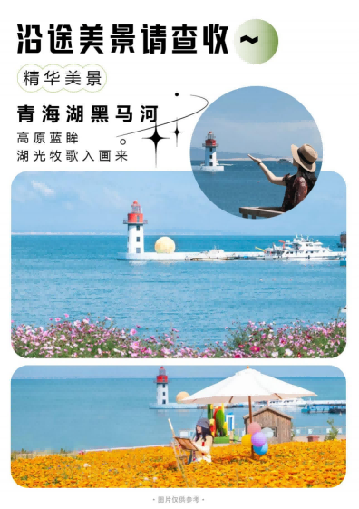图片31