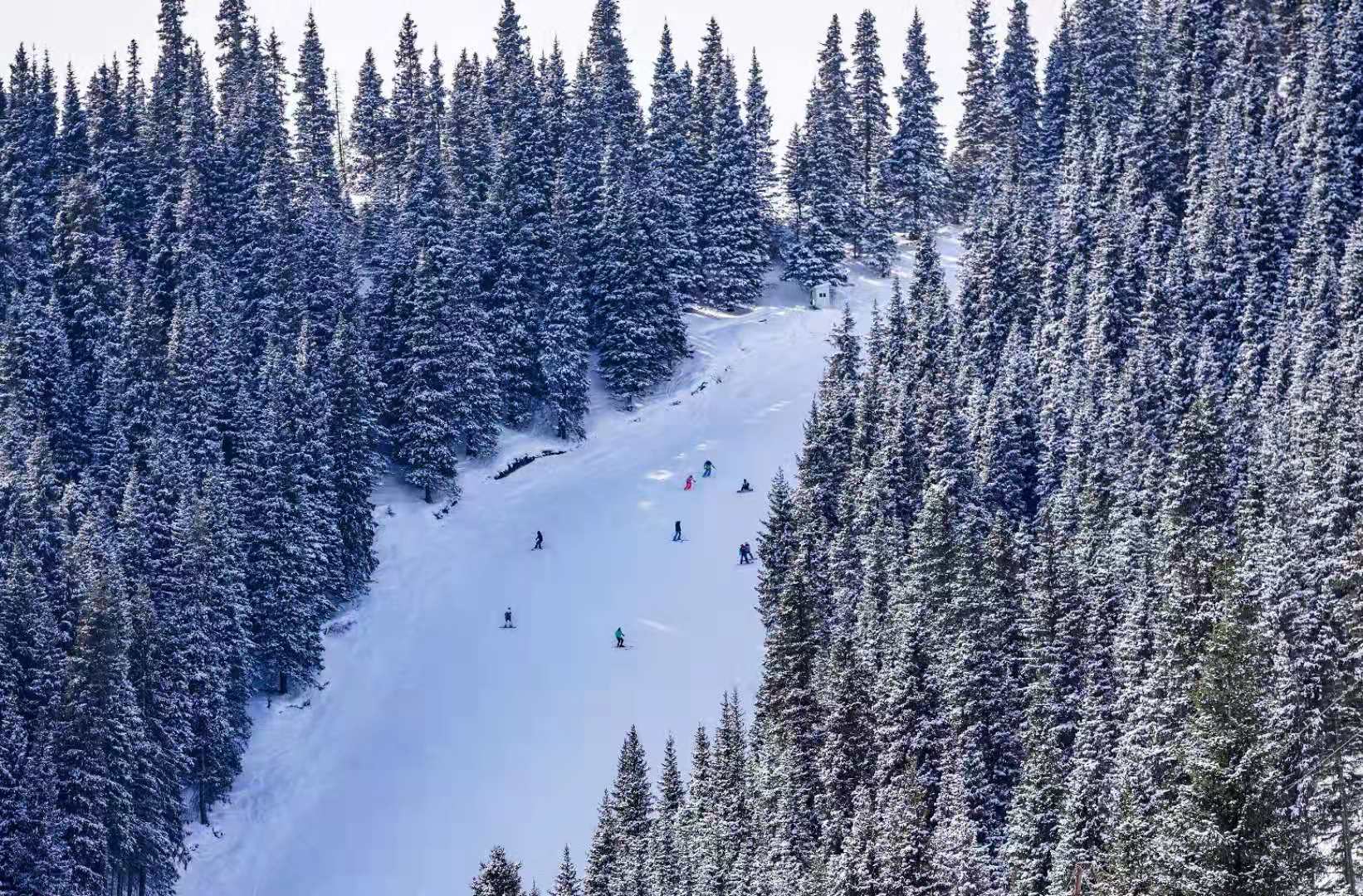 新疆滑雪