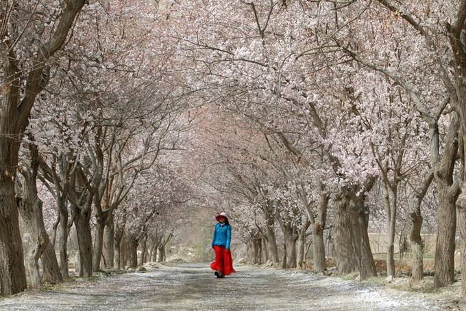 帕米尔高原旅游