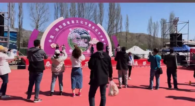 图片 39 图片 39