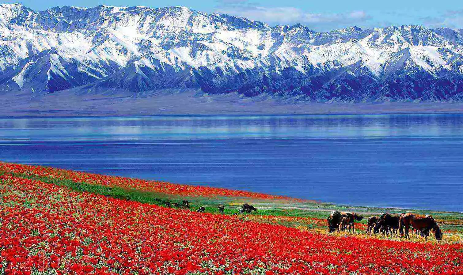 【小众伊犁】伊犁环线8天7晚拼车小团（乌鲁木齐进出）