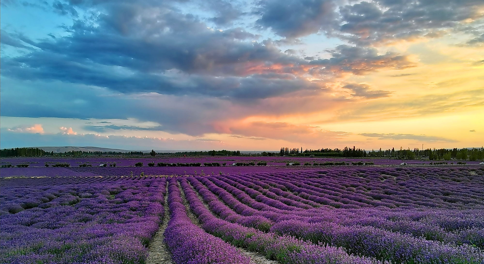 【伊山傍水7天6晚】乌鲁木齐起止