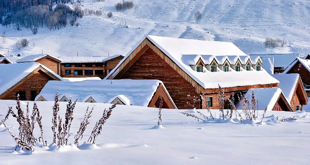 新疆旅游包车价格详细