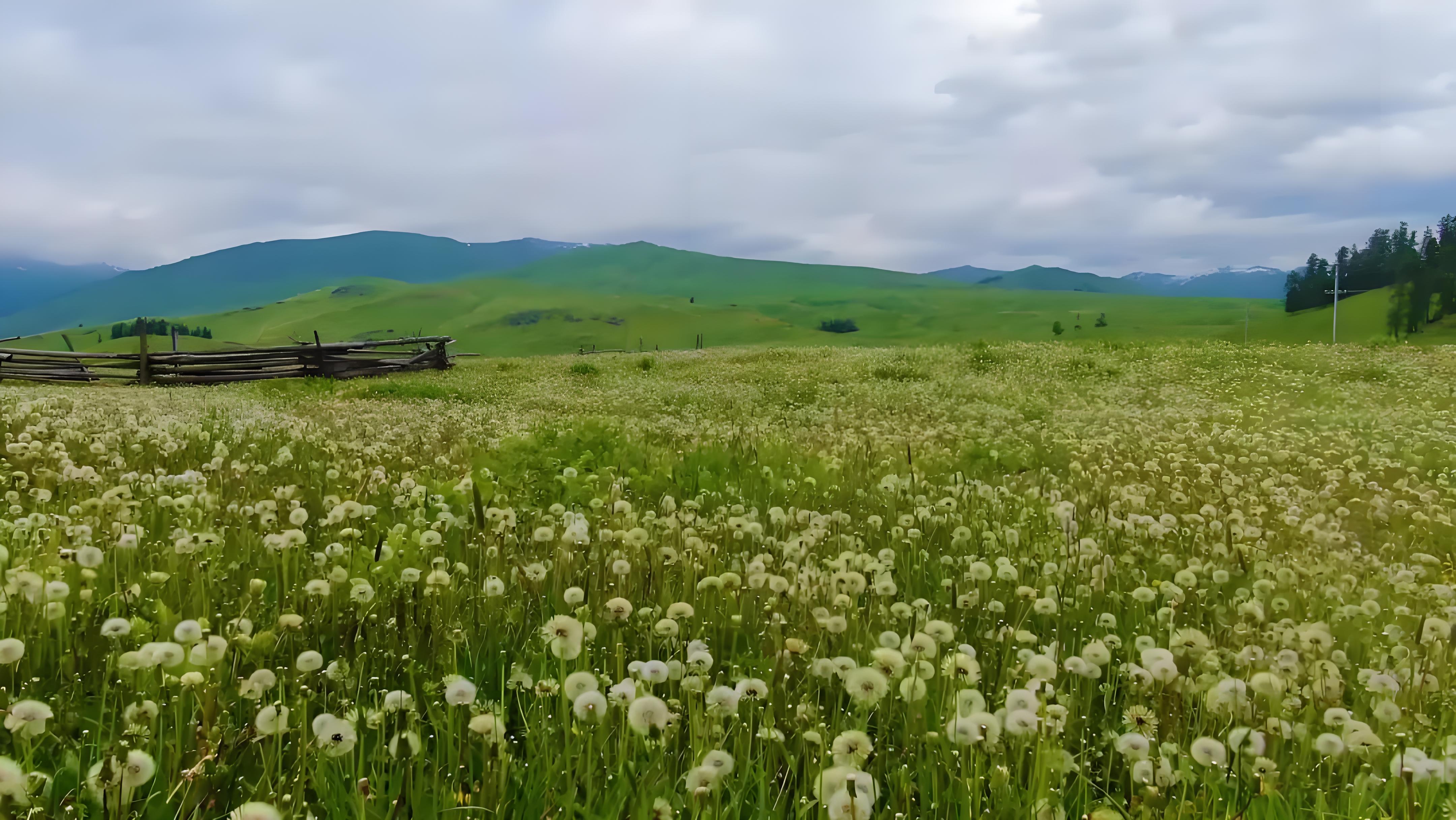 780ed33c-b2ad-4745-814a-29a28714f22a