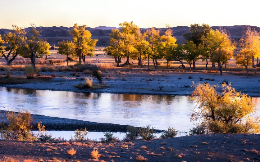 微信截图_20241116111754