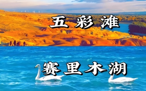 微信截图_20241126114824