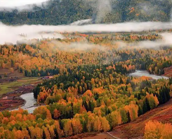 微信图片新疆旅行社20241127115732