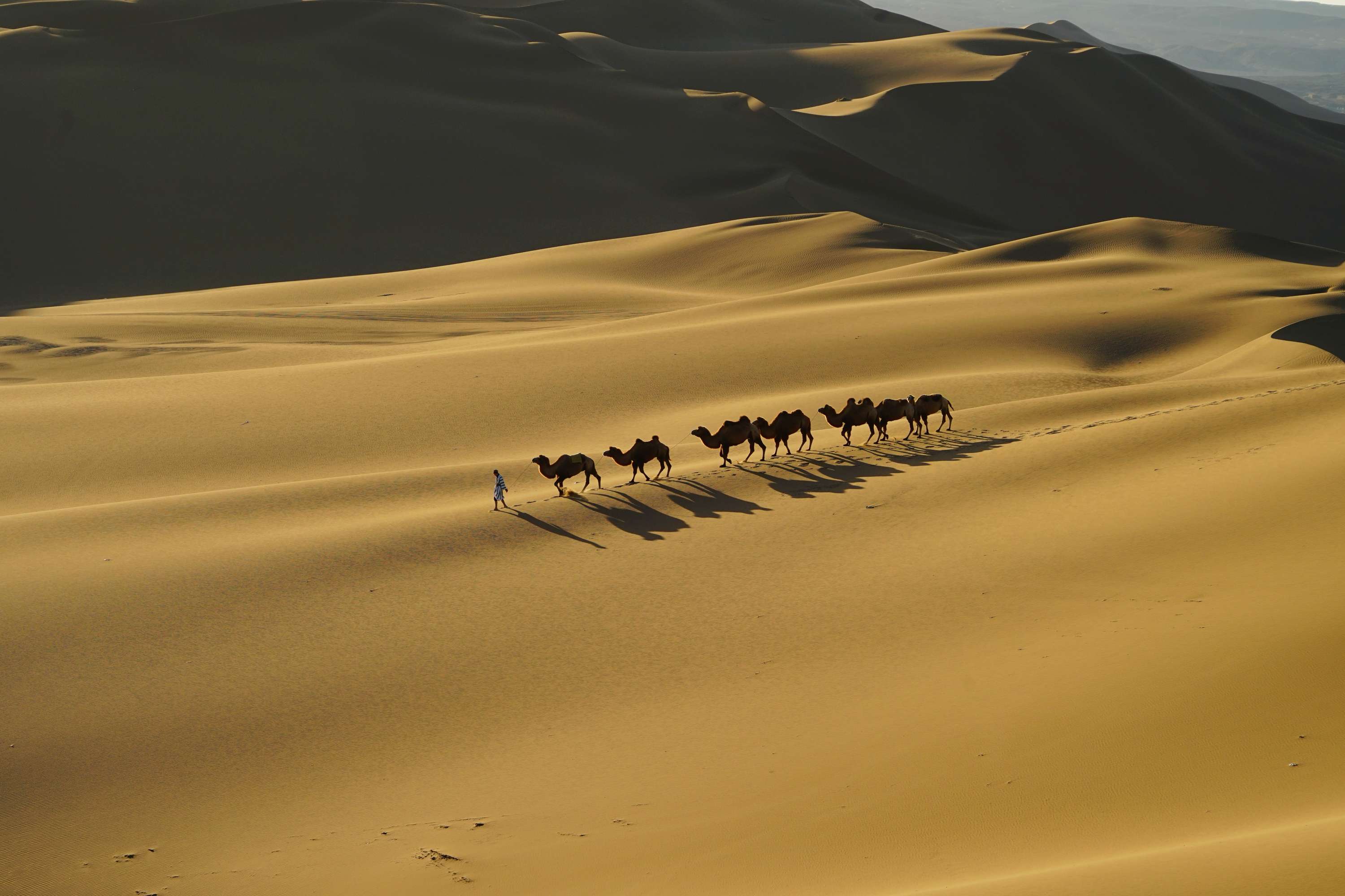 068f8c1a292441a7a14b5bcc07a39c52