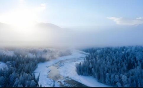 QQ截图20241204133725