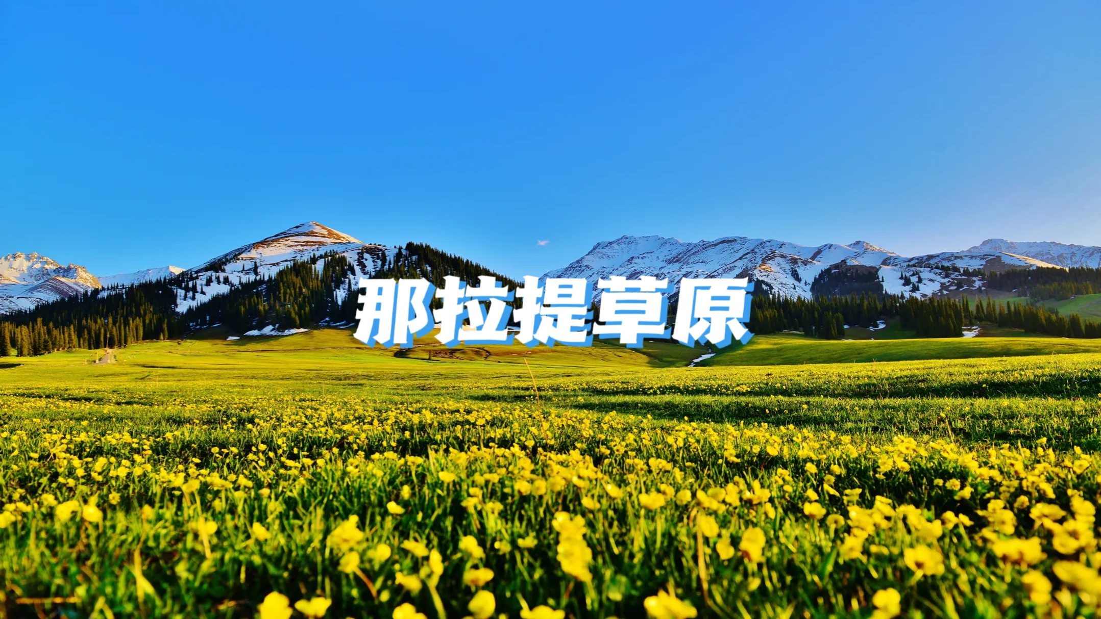 【大环线2号】南北疆大环线24天23晚拼车小团 （乌鲁木齐进出）