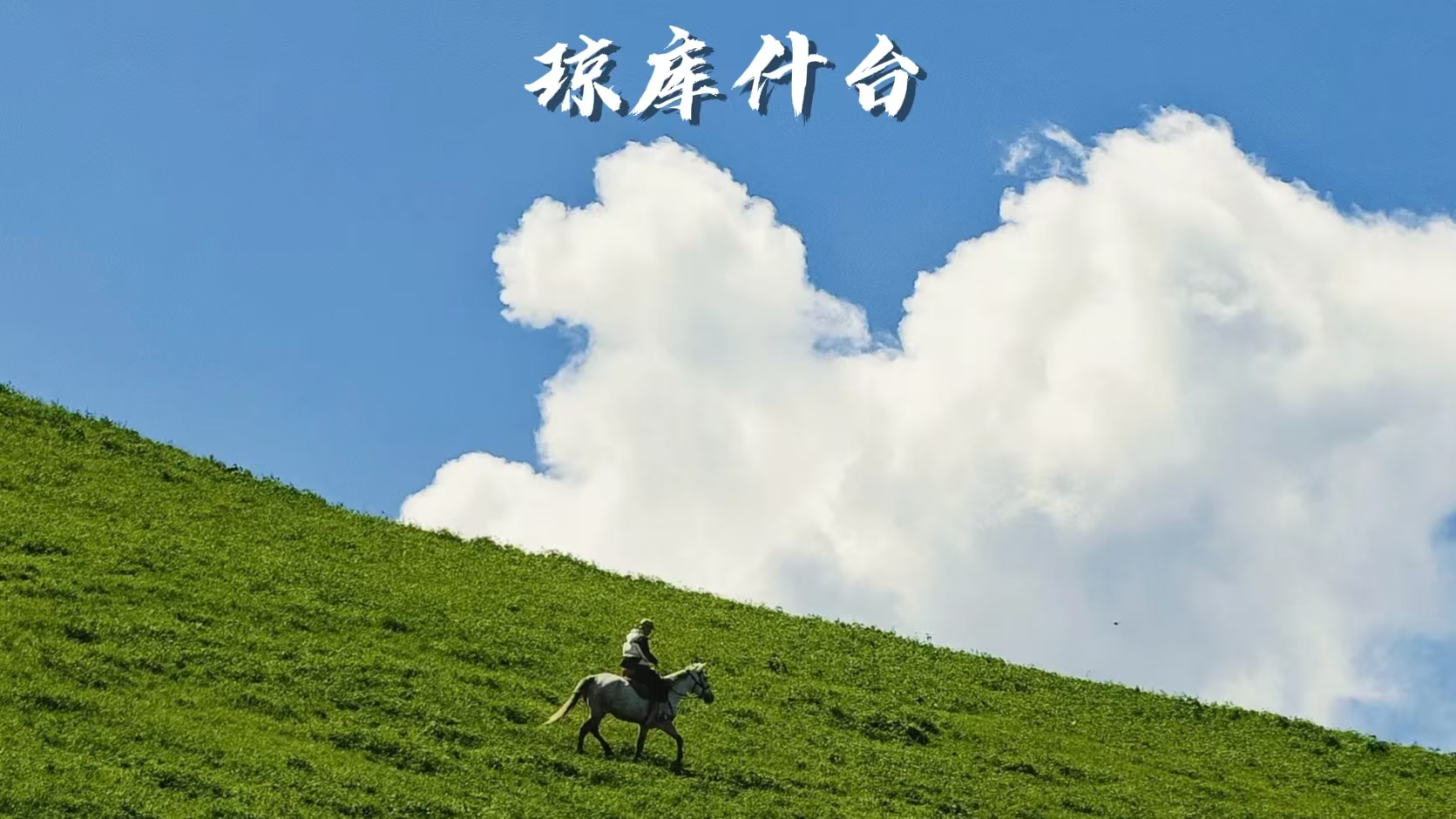 097595ac098cc00c8d679547e0be37b