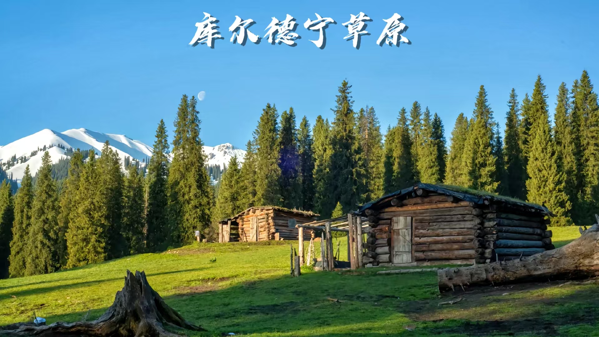 a93213a605505c8e5887deb3e3212fb