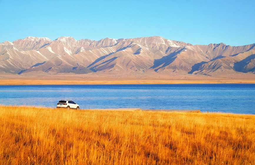 新疆当地旅游团联系方式