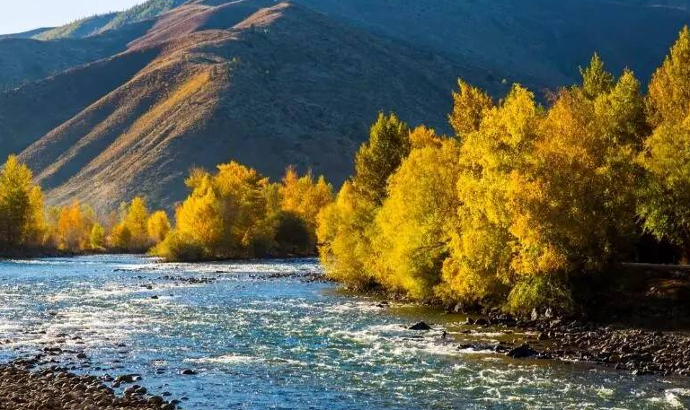 微信图片_20241225135249