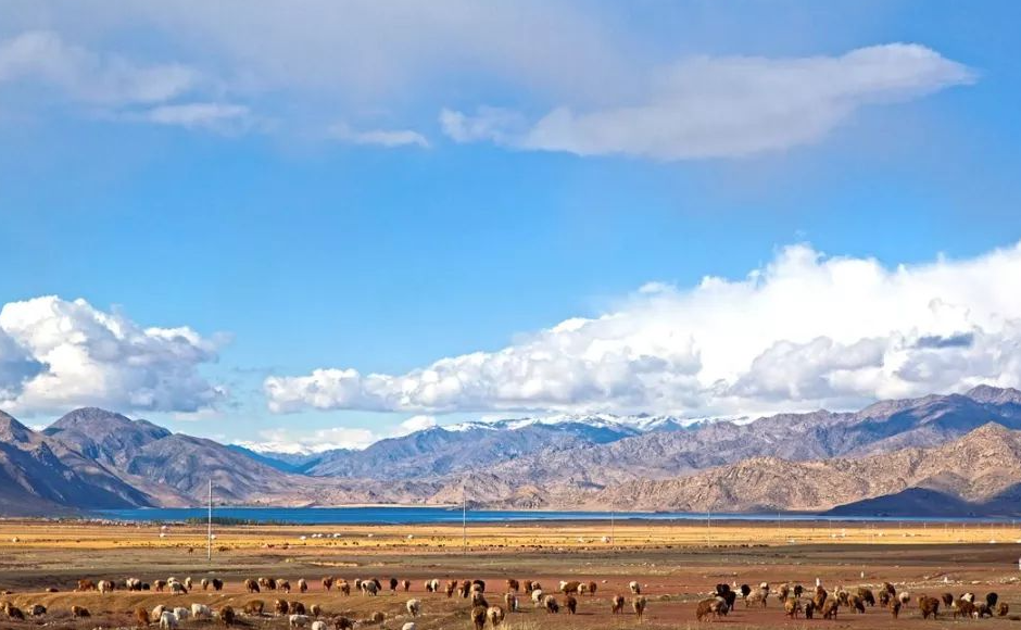 微信图片_20241225135215