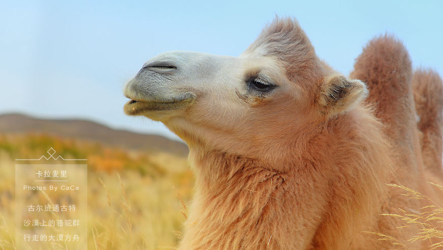 微信图片_20241231174026