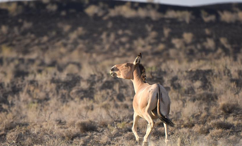 微信图片_20241231174029
