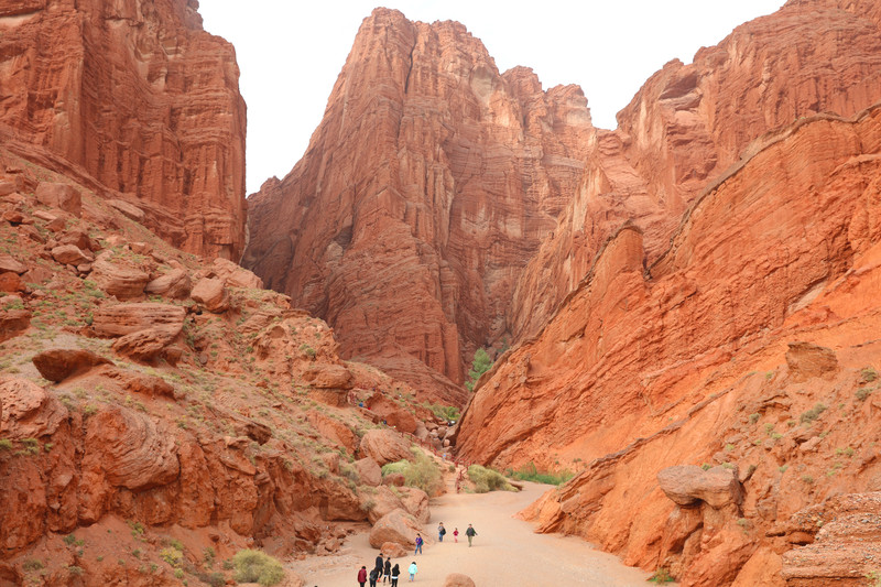 10070m000000dzdn387E8_R_800_10000_Q90