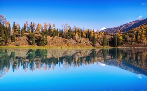 2025-02-12_喀纳斯_3