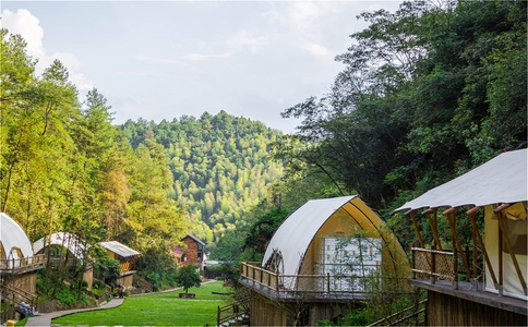 阿勒泰必去景点：喀纳斯、禾木、白哈巴全攻略