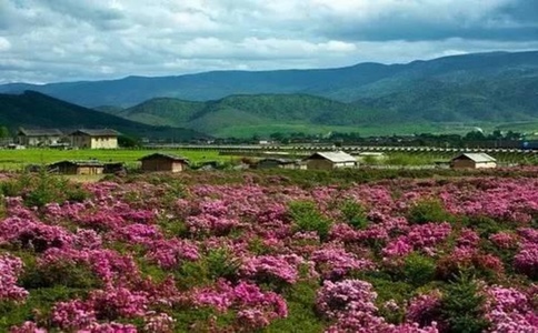 20250226_新疆3月份适合旅游吗_20250226_132557_5562