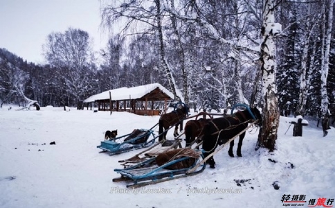 20250228_禾木村_20250228_133756_6632 20250228_禾木村_20250228_133756_6632