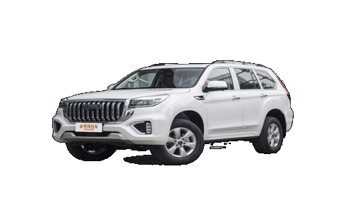 20250304_新疆租车平台_20250304_133124_3178