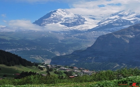 20250226__20250226_132336_9175 20250226__20250226_132336_9175