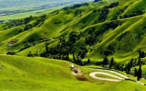 20250305_新疆双飞_20250305_113115_7911