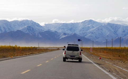 20250311_新疆自驾游包车_20250311_140528_8376