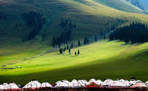 20250318_伊犁包车旅_20250318_114857_4370