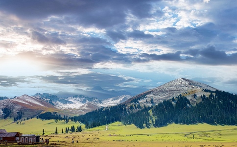 新疆旅游包车多少钱一天？2025新避坑攻略，看完立省2000块！