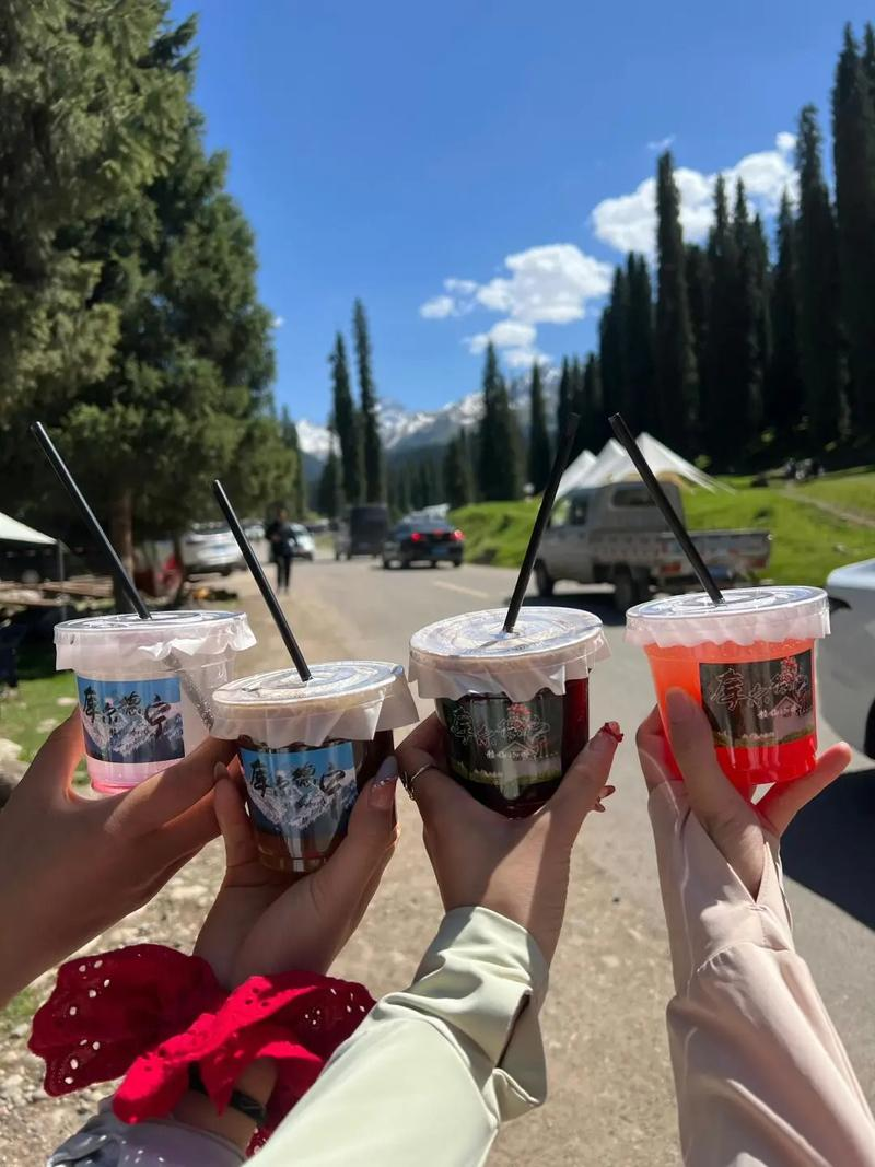 《新疆伊犁8日游，6人拼车小团，赛里木湖+那拉提，这才是夏天该有的样子！》