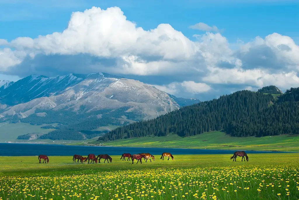 6月去新疆旅游，我选了这个14日北疆全景环线！6人拼车小团简直不要太爽！