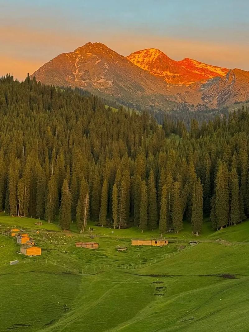 新疆口碑最好的旅行社藏不住了！本地人私藏的“零差评”榜单，看完再也不怕踩坑！