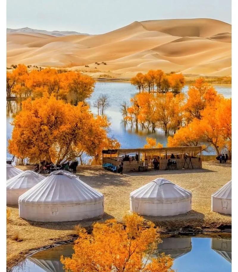 预算2W+，躺在头等舱里闯新疆！24天南北疆大环线，体验什么是“陆地头等舱”！