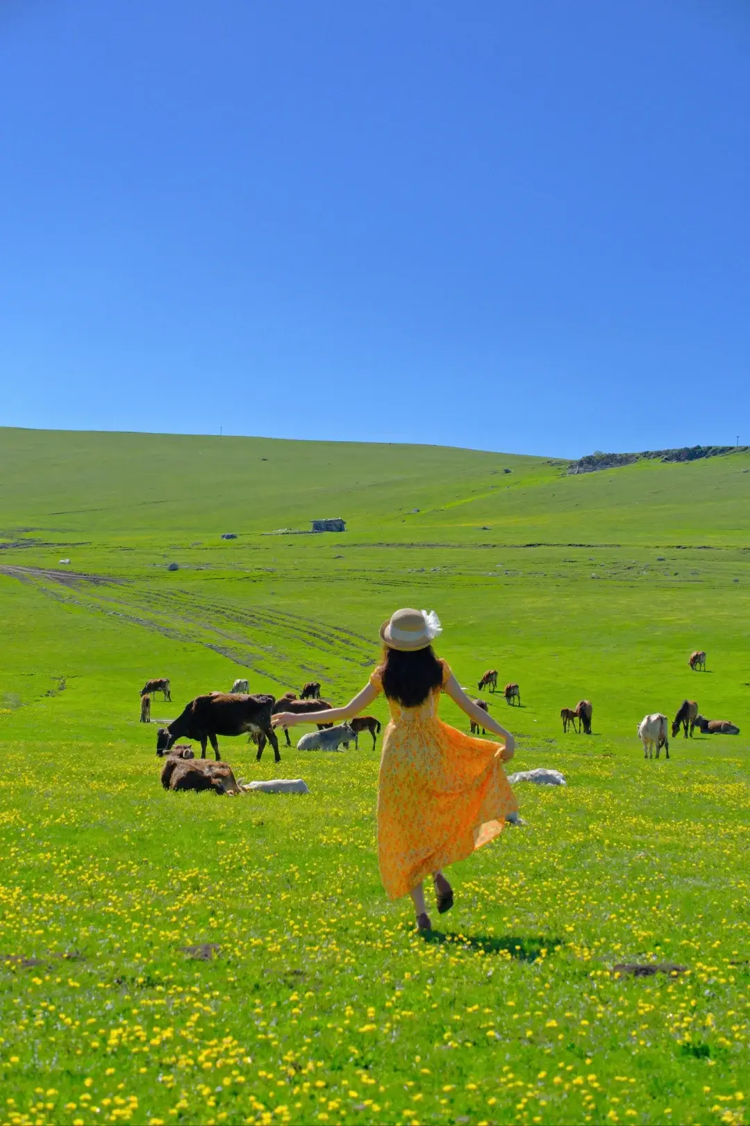 长沙出发！坐上大7座1+1豪华商务车去北疆！《天喀恋独伊》12日游，独库公路+全景伊犁，价格太香了！
