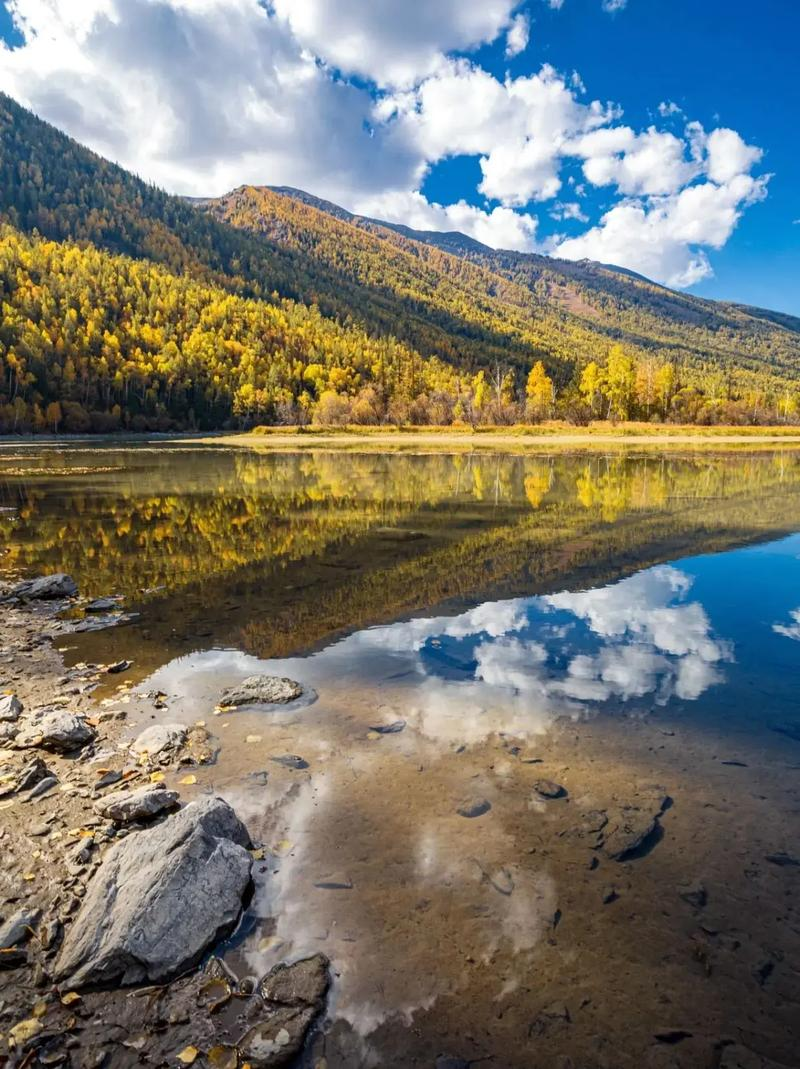 昆明出发！坐大7座1+1豪华商务车去北疆，住禾木喀纳斯景区里，10日游价格惊呆！