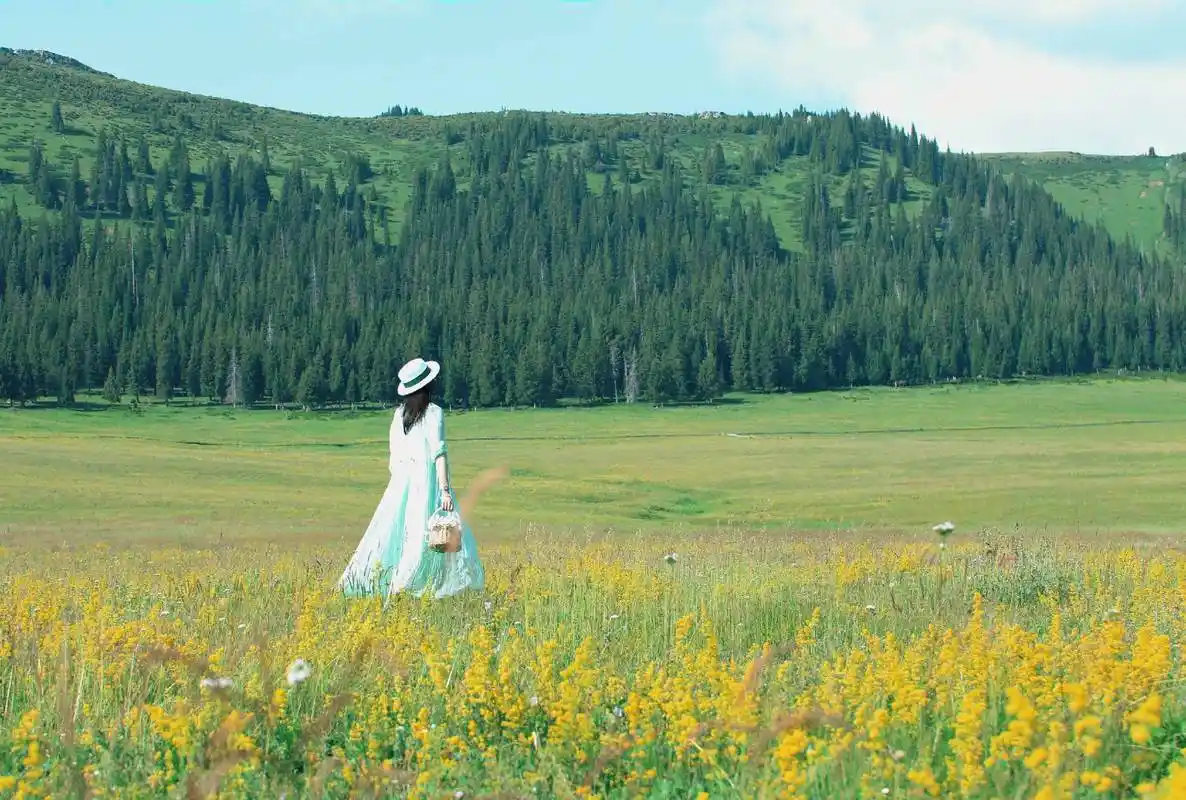 肇庆出发去新疆旅游！北疆10日游6人拼车小团，含独库公路+无人机，预订攻略及电话