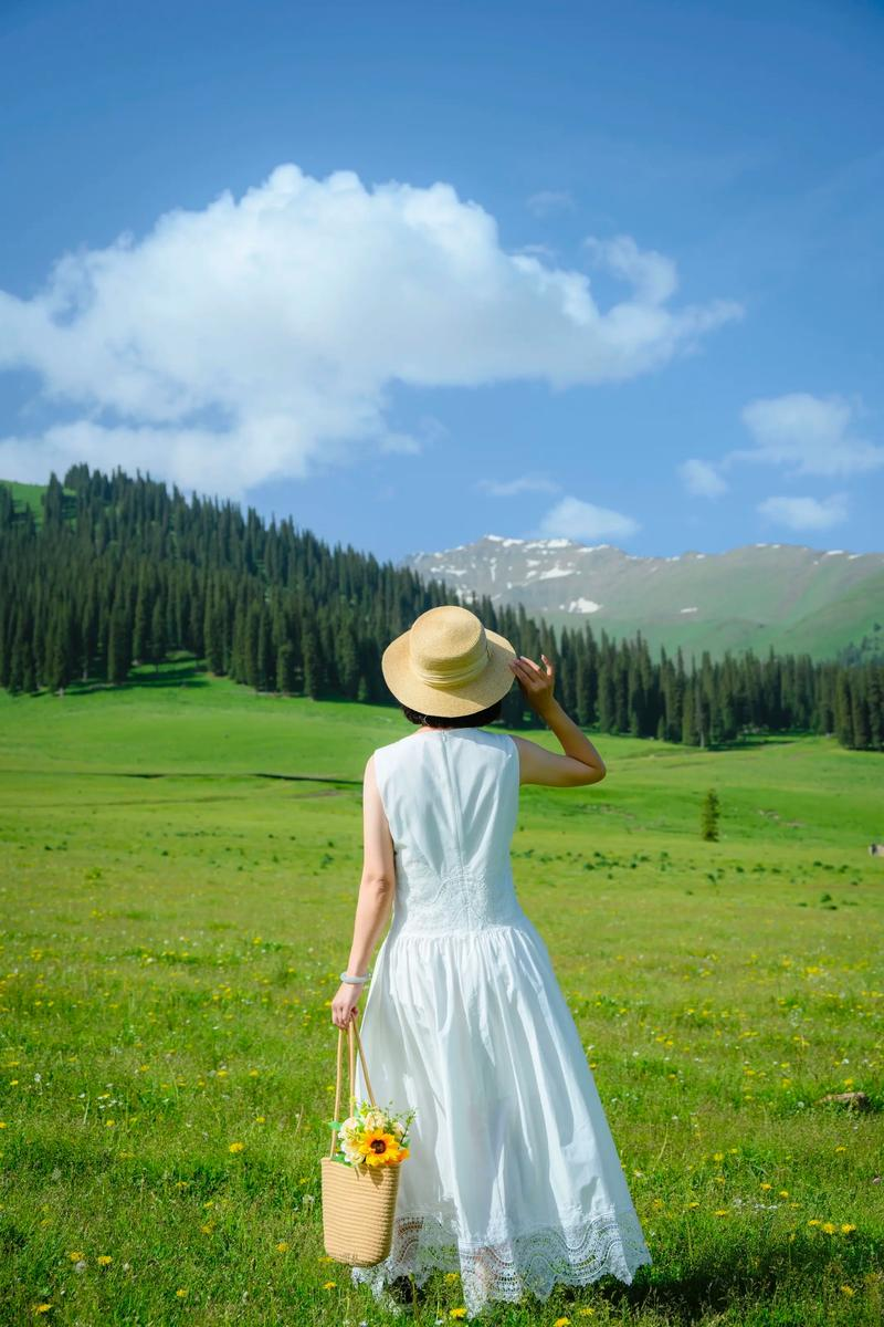 0e8713c2-f04d-43c6-86b0-a415cad87318