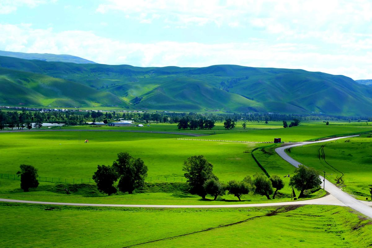 2f1916a5-324e-4fe3-8dce-d0a19fc7eefa