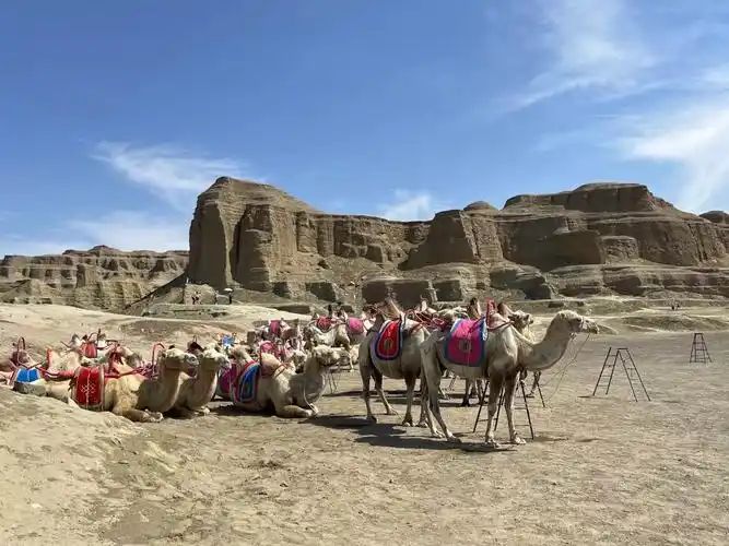 浙江绍兴出发去新疆旅行，在哪预订？一个人大概多少钱？