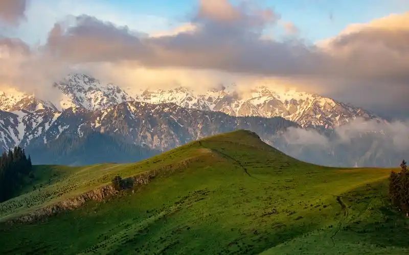 u=2131729220,121536966&fm=253&fmt=auto&app=120&f=JPEG_结果