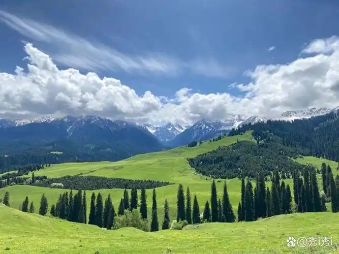 u=4113905985,3155612009&fm=253&fmt=auto&app=138&f=JPEG_结果