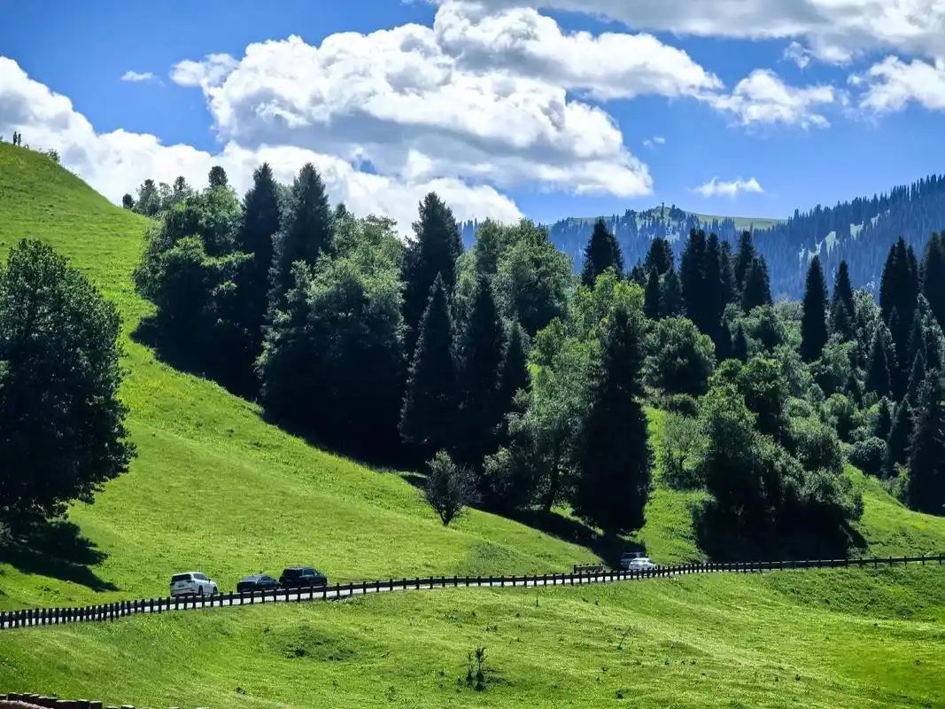 安徽合肥出发新疆旅游，怎么报名，人均多少钱？