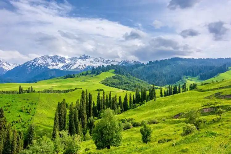 u=490191772,3396006141&fm=253&fmt=auto&app=138&f=JPEG_结果