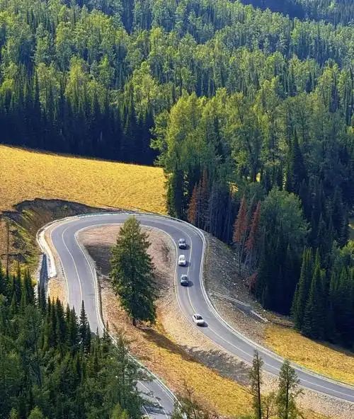 浙江温州出发去新疆旅行，在哪预订？一个人大概多少钱？