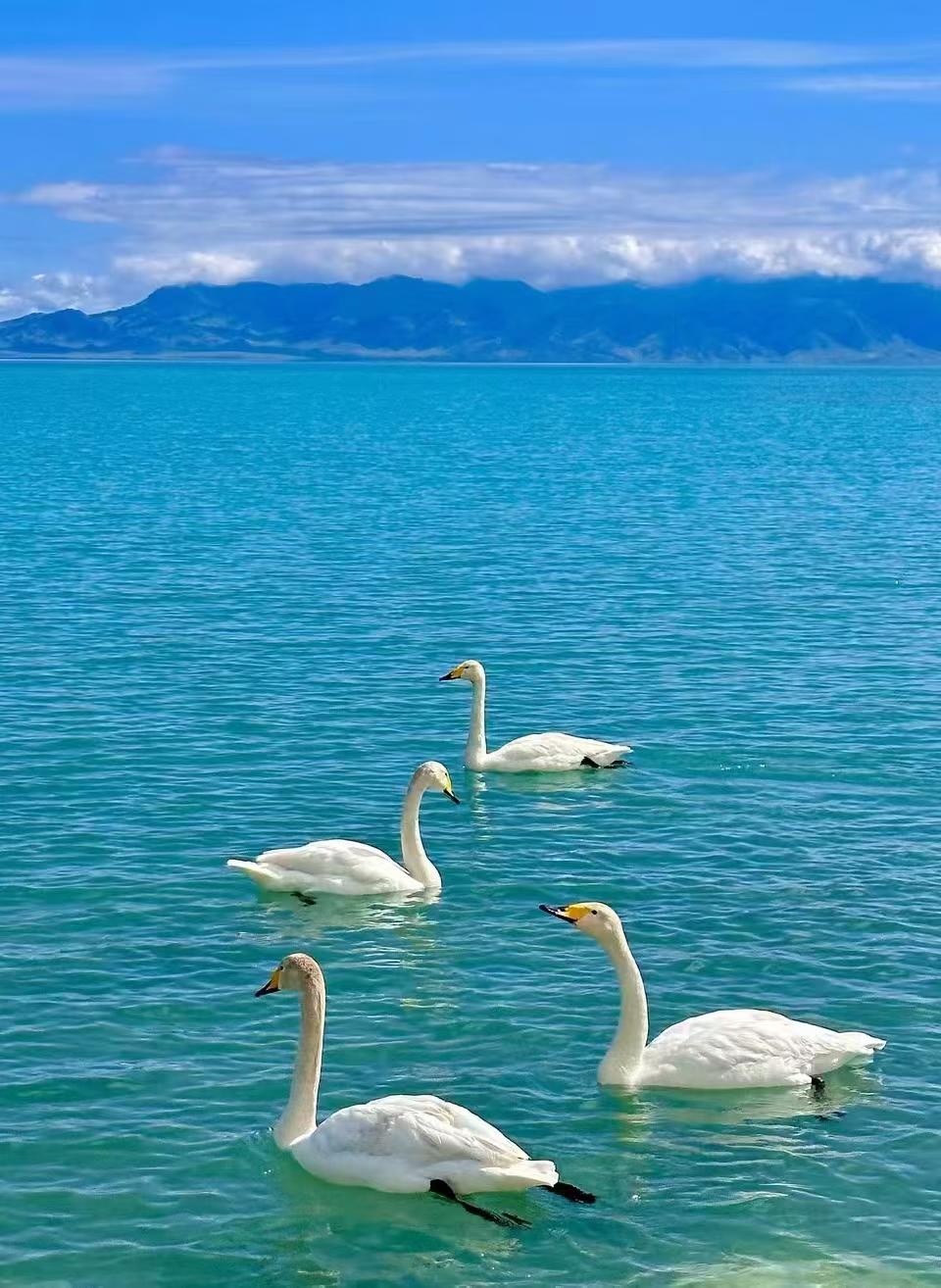 微信图片_2026-04-24_175402_741