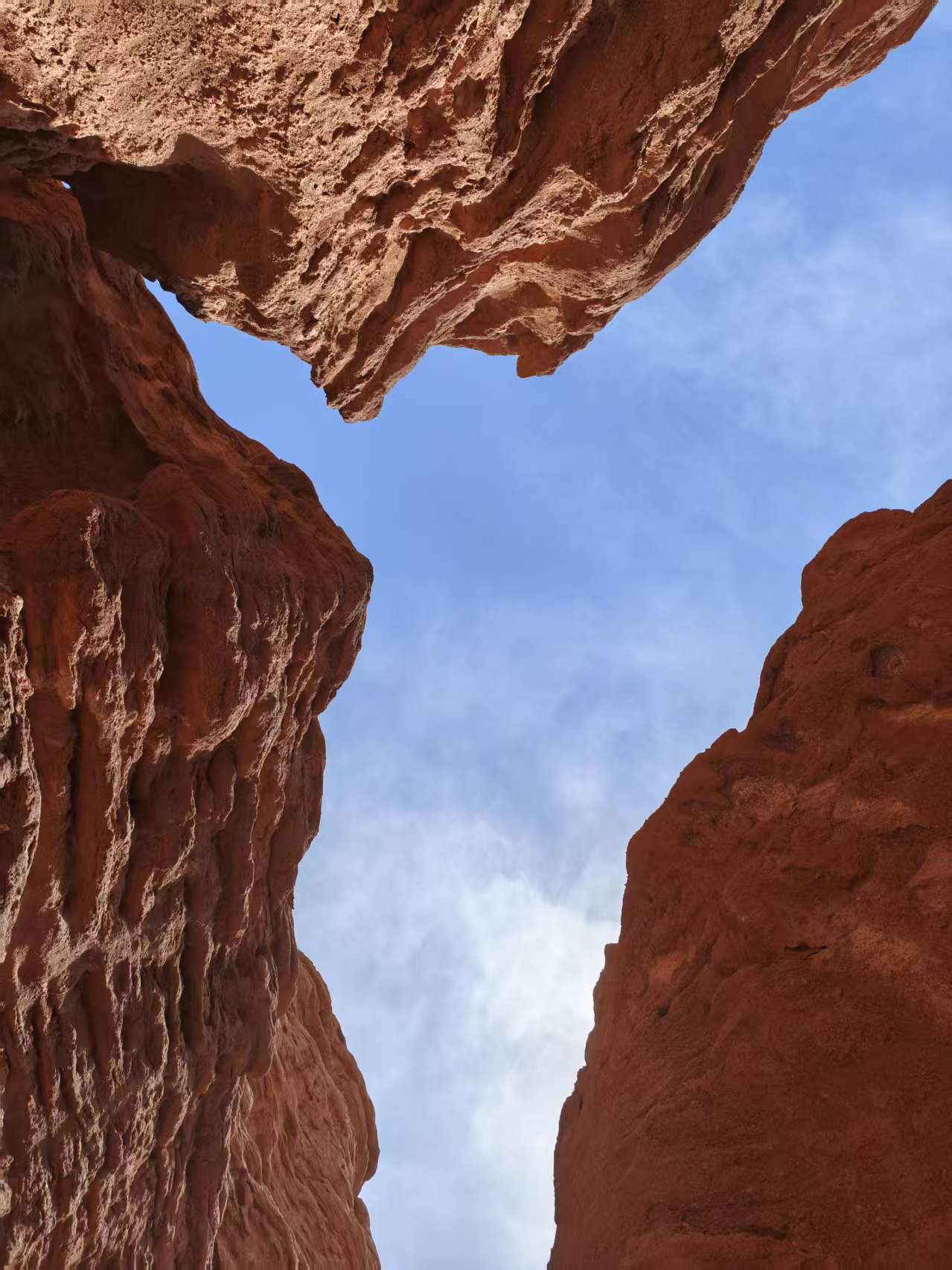 7f507d48abdf4e1bda106083ec6c632e