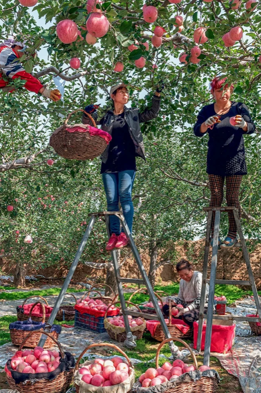 0b6193696d2b4cf2315895a9d0f14ee4